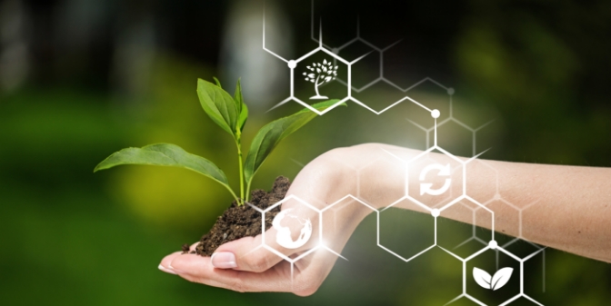 Sustainbility